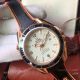 Omega Seamaster Planet Ocean Men Watches Rose Gold (4)_th.jpg
